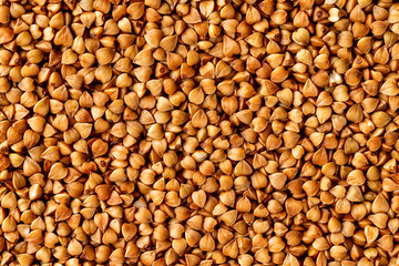 Macro image of buckwheat grain as a natural vegan food background.
