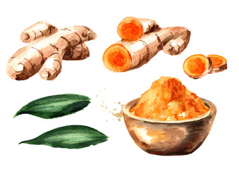Turmeric root and powder set. Watercolor hand drawn illustration, isolated on white background