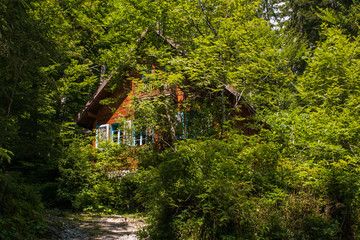 Wooden chalet in the forest of italian dolomites