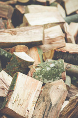 chopped wood raw materials backdrop