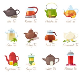 Tea vector puer-tea and rooibos or matcha fruity drinks in teapot illustration drinking set of green or black tea in cafe isolated on white background