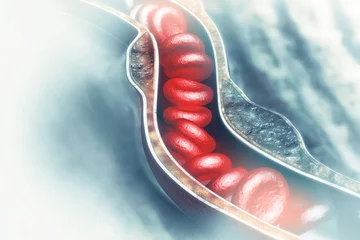Gordijnen Blood cells in an artery © Crystal light