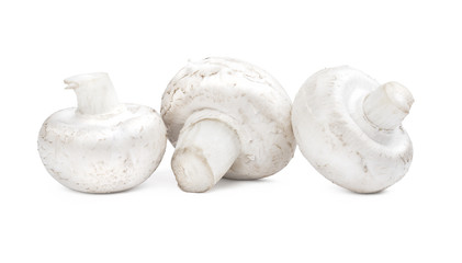 Group of champignons