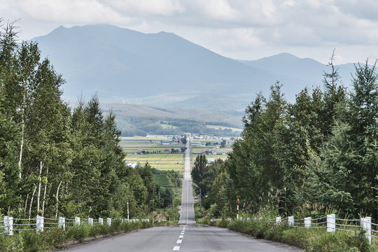 7 最適な パノラマロード江花 画像 ストック写真 ベクター Adobe Stock