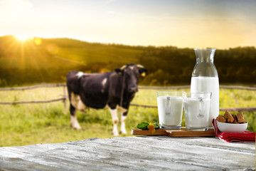 fresh cold milk and morning rural landscape with cow 