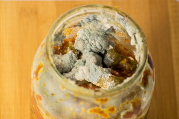 Blue and green mold in a can of canned vegetables