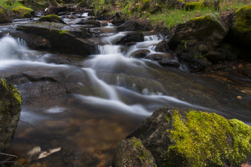 Fototapeta na wymiar Mountain stream, water