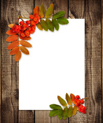 Autumn rowanberries and leaves in a corner arrangements on white card and brown wood