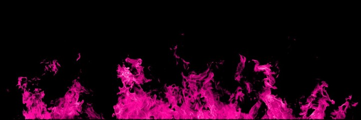 Real pink line of fire flames isolated on black background. Mockup on black of wall of fire.