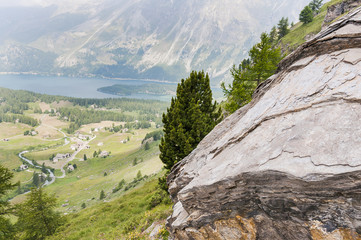 Sils, Val Fex, Fextal, Furtschellas, Silsersee, Seenplatte, Wanderweg, Marmorè,  Blumenweg, Alpen, Oberengadin, Graubünden, Sommer, Schweiz