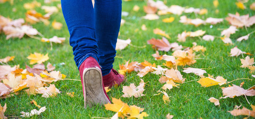 Feet sneakers walking on fall leaves