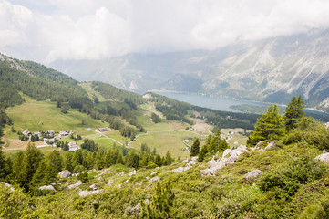 Fototapeta premium Sils, Val Fex, Fextal, Furtschellas, Silsersee, Seenplatte, Wanderweg, Marmorè, Blumenweg, Alpen, Oberengadin, Graubünden, Sommer, Schweiz