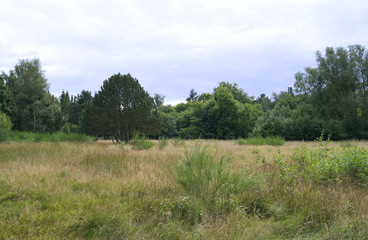 Laesoe / Denmark: Dreamy natural property on the outskirts of Vesteroe Havn