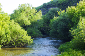 River flows between forested banks