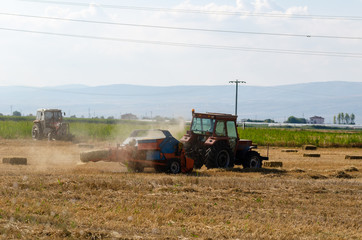 Fototapeta premium The tractor works on the field on cleaning straw . Grain crops harvesting and farming.