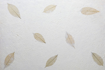 Handmade paper texture with recycled materials, tree leaves and cotton fibers. In delicate, clear and vanilla tones.