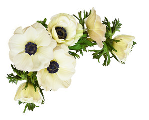 White anemone flowers in a corner arrangement