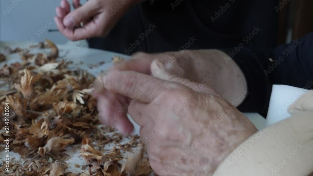 Poster close up of hands sorting through husks and shells when harvesting nuts