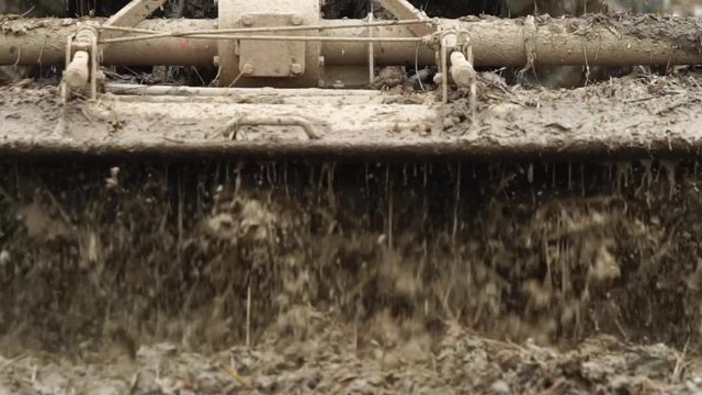 Slow motion : People using  big tractor in rice field