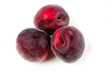Black apricots shot close-up on a white background