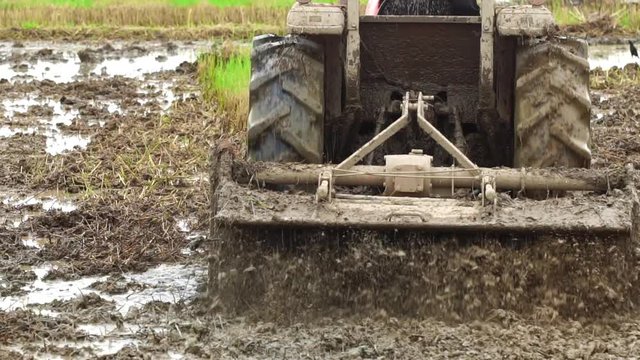 Slow motion : People using  big tractor in rice field