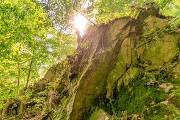 Granite rocks in the Bodetal valley with a bright canopy of leaves in the background, against the bright sunlight