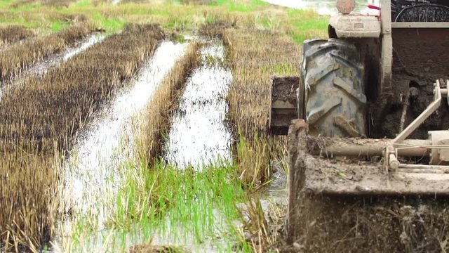 Slow motion : People using  big tractor in rice field