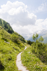 Sils, Segl, Val Fex, Fextal, Wanderweg, Wanderer, Marmorè, Fexgletscher, Alpen, Oberengadin, Graubünden, Sommer, Schweiz