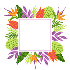 Summer greeting card with strelitzia, tropical leaves