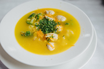 Dietary soup. Bowl plate of soup with vegetables, meatballs made of turkey and chicken, top view