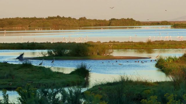 Do&ntilde;ana National Park - Spain
