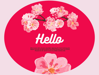 Pink cherry flowers. Hello. There is place for your text on background.