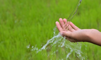 washing hand outdoors. Natural drinking water in the palm. Young hands with water splash, selective focus on green background concept.