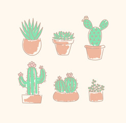 Various succulents cactus types