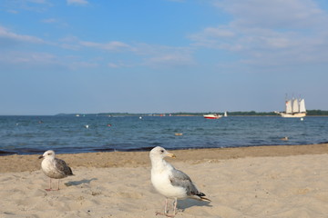 The Travemünde beach, Germany.