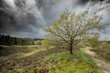 Landschaft im Naturpark Aukrug