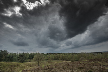 Fototapeta premium Landschaft im Naturpark Aukrug