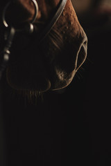 horse snoring, low key, brown, nose
