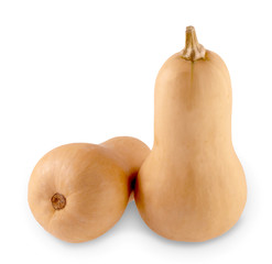 Fresh butternut squash isolated on a white background