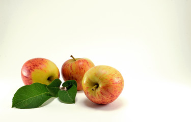 Three ripe red apples and a green twig.