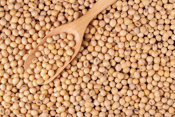 Soybean oil on a wooden background. rustic style