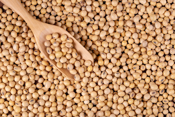 Soybean oil on a wooden background. rustic style