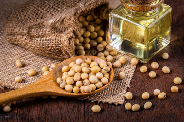 Soybean, dried soybeans