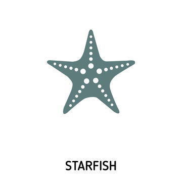 Starfish creative icon. Simple element illustration. Starfish concept symbol design from beach icon collection. Can be used for web, mobile and print. web design, apps, software, print.