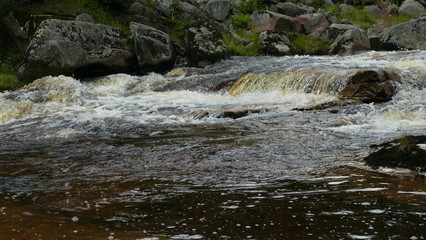 Rzeka Izerka na granicy Polski i Czech. Rejon Gór Izerskich. Europa.