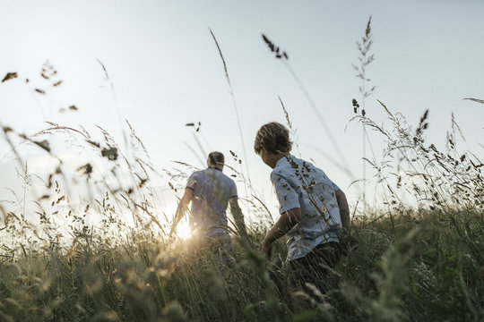 Boy And His Father Walking In Nature At Sunset