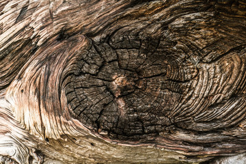 Wood, texture, old