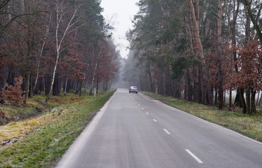 Fototapeta premium Asphalt road in the autumn forest. One car on the road in a small fog.