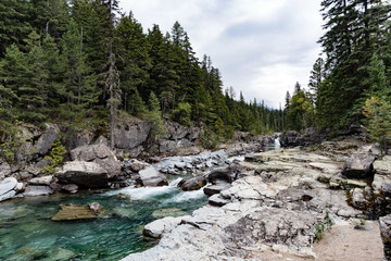 Montana Mountain Stream