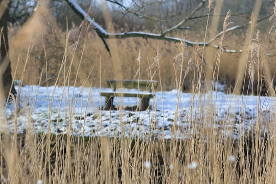 Bank am Wasser